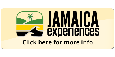 jamaica travel agent login
